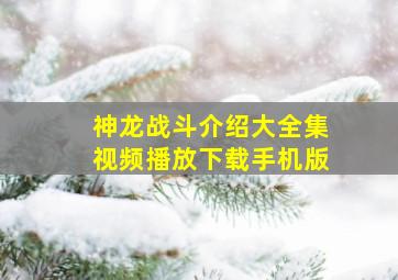 神龙战斗介绍大全集视频播放下载手机版