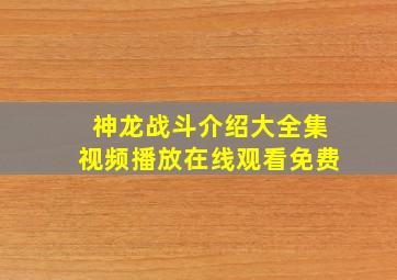 神龙战斗介绍大全集视频播放在线观看免费