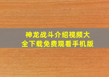 神龙战斗介绍视频大全下载免费观看手机版