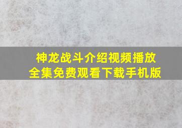 神龙战斗介绍视频播放全集免费观看下载手机版