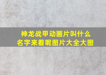 神龙战甲动画片叫什么名字来着呢图片大全大图