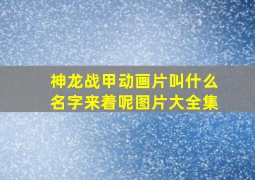 神龙战甲动画片叫什么名字来着呢图片大全集