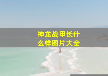 神龙战甲长什么样图片大全