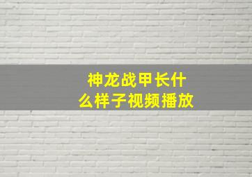 神龙战甲长什么样子视频播放