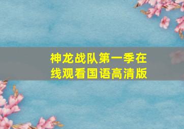 神龙战队第一季在线观看国语高清版