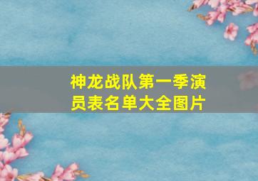 神龙战队第一季演员表名单大全图片