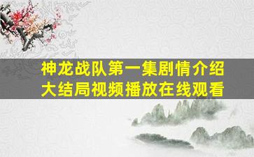 神龙战队第一集剧情介绍大结局视频播放在线观看