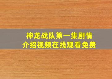 神龙战队第一集剧情介绍视频在线观看免费