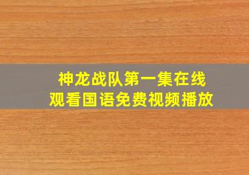 神龙战队第一集在线观看国语免费视频播放