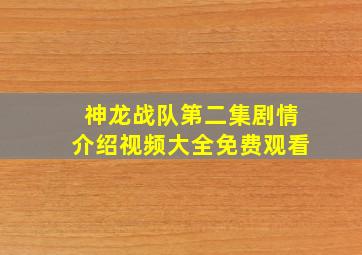 神龙战队第二集剧情介绍视频大全免费观看