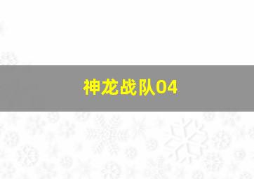 神龙战队04