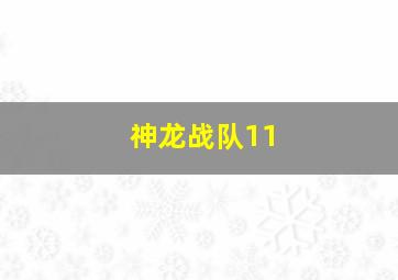 神龙战队11