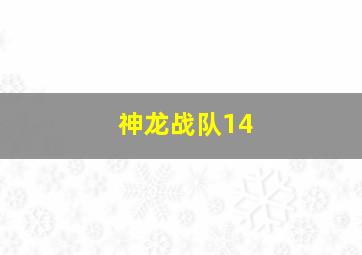 神龙战队14