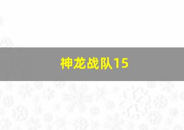 神龙战队15