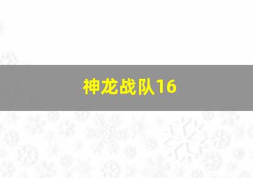 神龙战队16