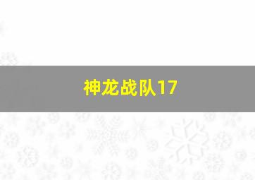 神龙战队17