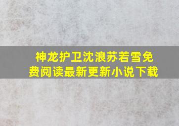 神龙护卫沈浪苏若雪免费阅读最新更新小说下载