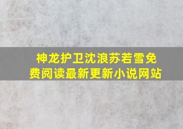 神龙护卫沈浪苏若雪免费阅读最新更新小说网站