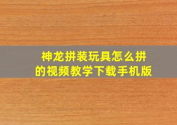 神龙拼装玩具怎么拼的视频教学下载手机版