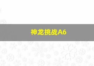 神龙挑战A6