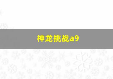 神龙挑战a9