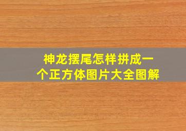 神龙摆尾怎样拼成一个正方体图片大全图解