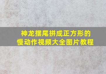 神龙摆尾拼成正方形的慢动作视频大全图片教程