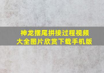 神龙摆尾拼接过程视频大全图片欣赏下载手机版