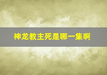 神龙教主死是哪一集啊