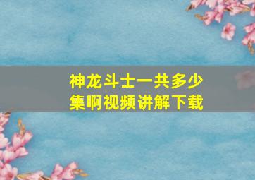 神龙斗士一共多少集啊视频讲解下载