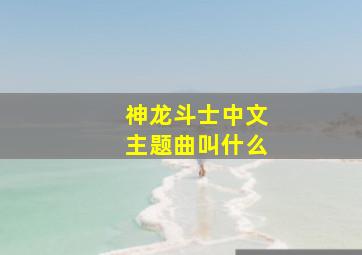 神龙斗士中文主题曲叫什么