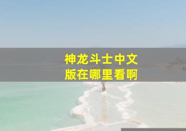 神龙斗士中文版在哪里看啊