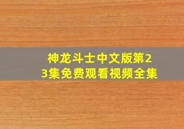 神龙斗士中文版第23集免费观看视频全集