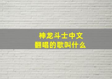 神龙斗士中文翻唱的歌叫什么