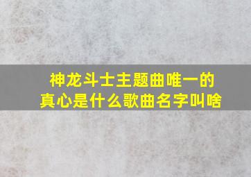 神龙斗士主题曲唯一的真心是什么歌曲名字叫啥