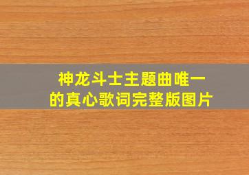 神龙斗士主题曲唯一的真心歌词完整版图片