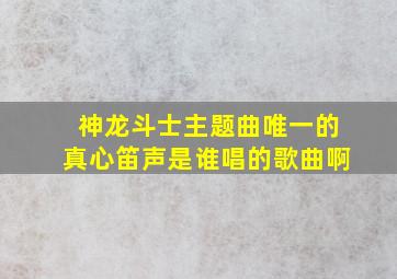 神龙斗士主题曲唯一的真心笛声是谁唱的歌曲啊