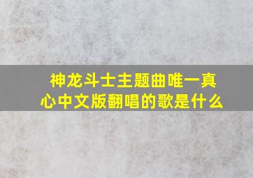 神龙斗士主题曲唯一真心中文版翻唱的歌是什么