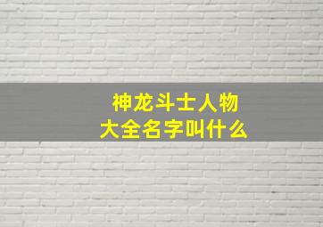 神龙斗士人物大全名字叫什么