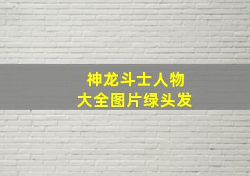 神龙斗士人物大全图片绿头发