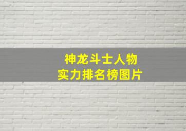 神龙斗士人物实力排名榜图片