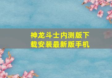 神龙斗士内测版下载安装最新版手机