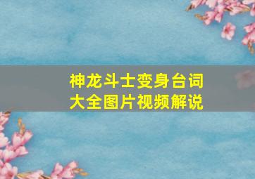 神龙斗士变身台词大全图片视频解说