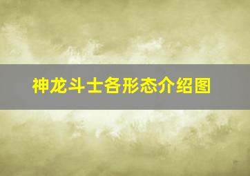 神龙斗士各形态介绍图