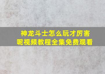 神龙斗士怎么玩才厉害呢视频教程全集免费观看