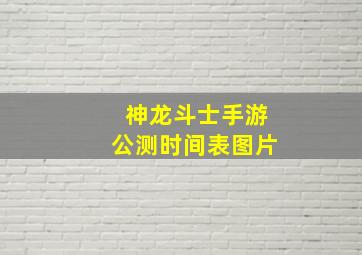 神龙斗士手游公测时间表图片