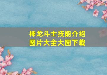 神龙斗士技能介绍图片大全大图下载