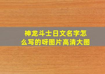 神龙斗士日文名字怎么写的呀图片高清大图