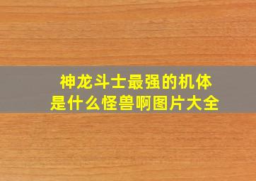 神龙斗士最强的机体是什么怪兽啊图片大全