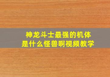 神龙斗士最强的机体是什么怪兽啊视频教学